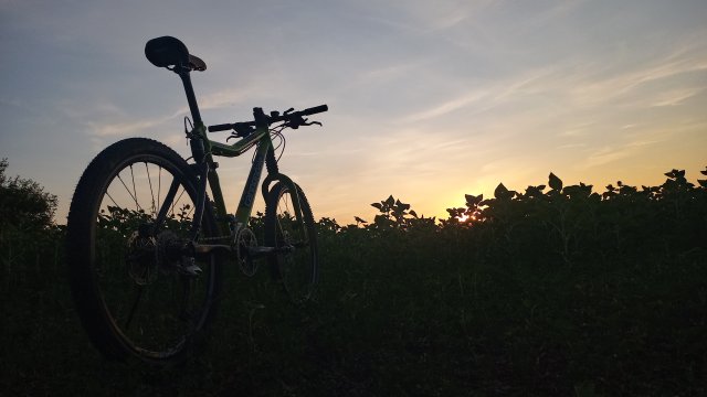 Cannondale Scalpel 900 XC Race '04 #312