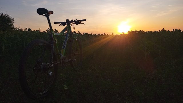 Cannondale Scalpel 900 XC Race '04 #313
