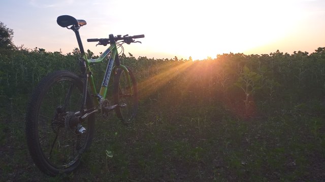 Cannondale Scalpel 900 XC Race '04 #314
