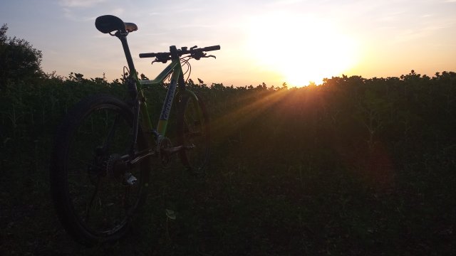 Cannondale Scalpel 900 XC Race '04 #315