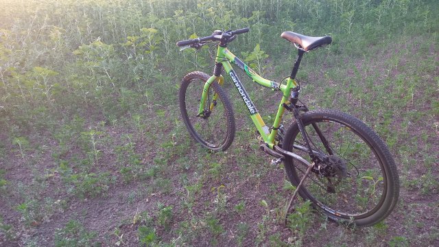 Cannondale Scalpel 900 XC Race '04 #320
