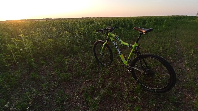 Cannondale Scalpel 900 XC Race '04 #321