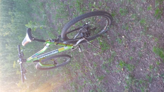 Cannondale Scalpel 900 XC Race '04 #330