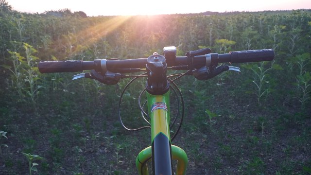 Cannondale Scalpel 900 XC Race '04 #333