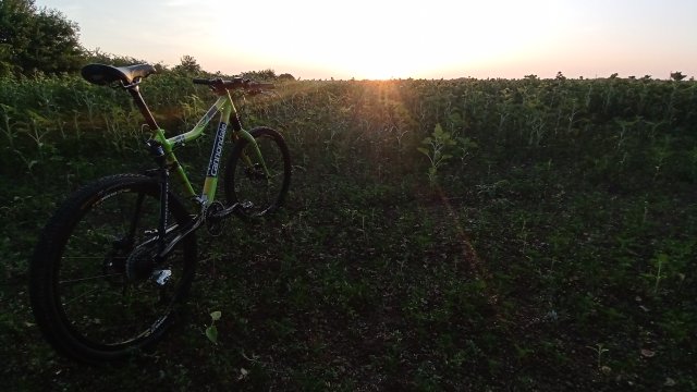Cannondale Scalpel 900 XC Race '04 #335