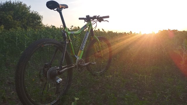 Cannondale Scalpel 900 XC Race '04 #336