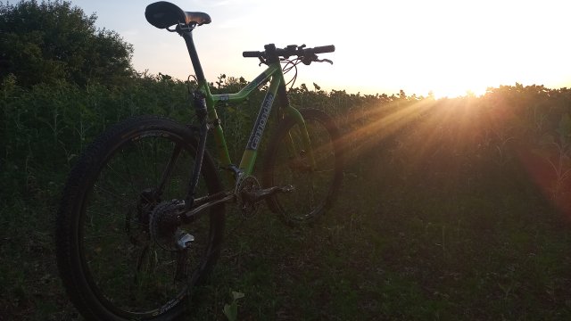 Cannondale Scalpel 900 XC Race '04 #337