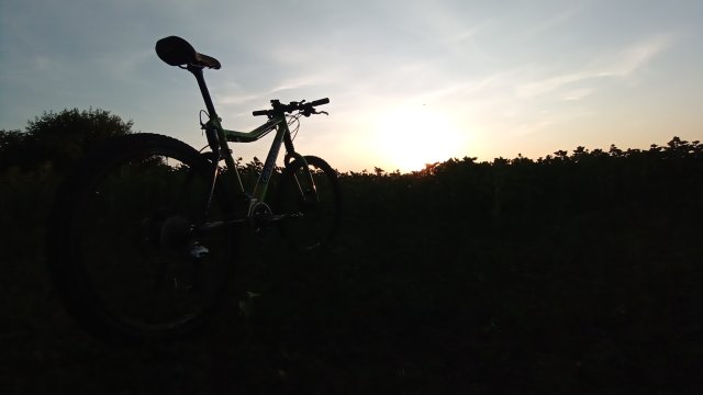 Cannondale Scalpel 900 XC Race '04 #338