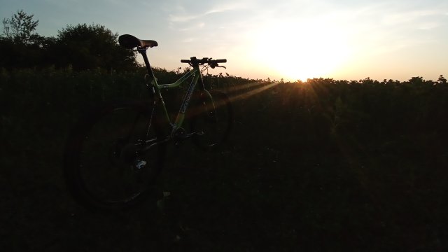 Cannondale Scalpel 900 XC Race '04 #339