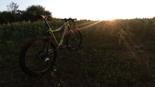 Cannondale Scalpel 900 XC Race '04 #340