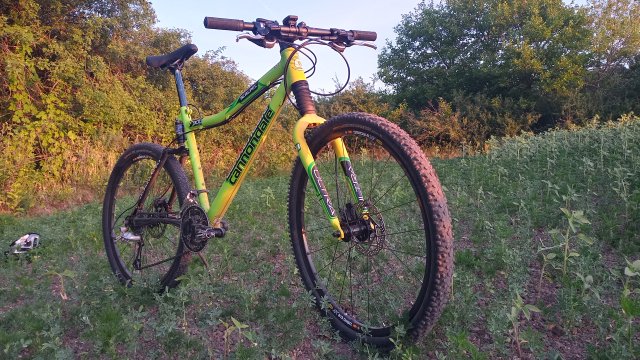 Cannondale Scalpel 900 XC Race '04 #341