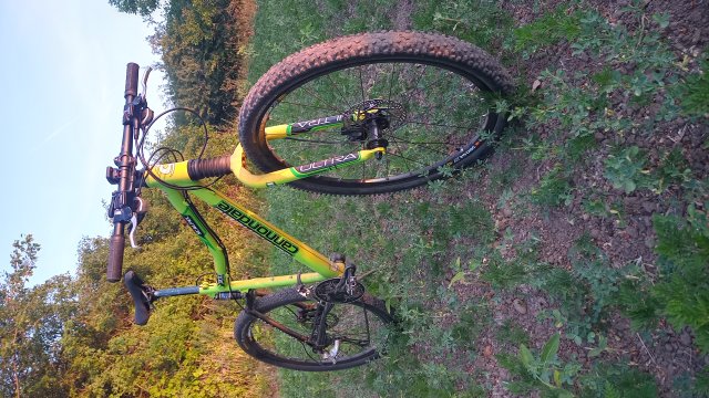 Cannondale Scalpel 900 XC Race '04 #342