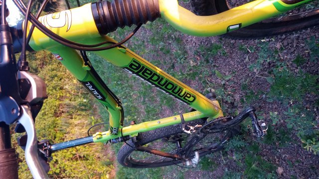 Cannondale Scalpel 900 XC Race '04 #347