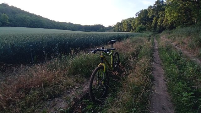 Cannondale Scalpel 900 XC Race '04 #349