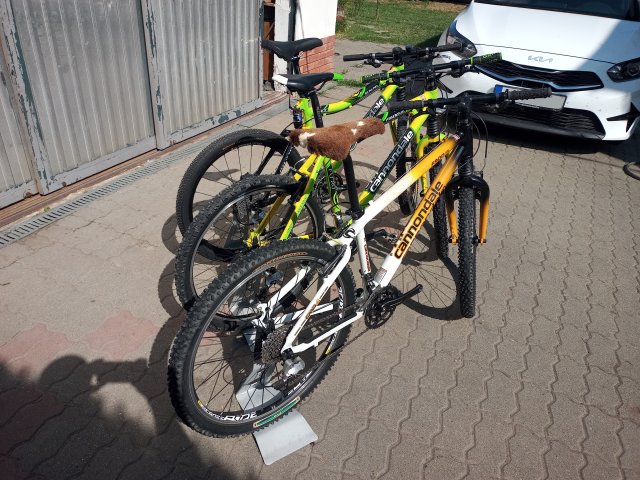 Cannondale Scalpel 900 XC Race '04 #374