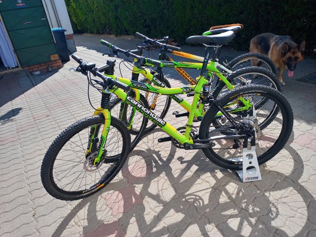 Cannondale Scalpel 900 XC Race '04 #378