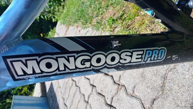 Mongoose Newman 8.3 '02 #90