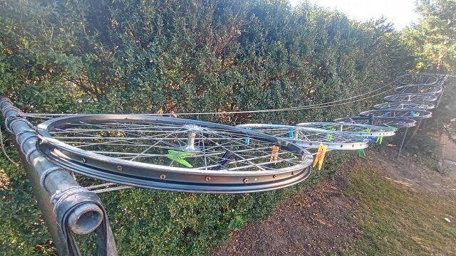 Mongoose Newman 8.3 '02 #10