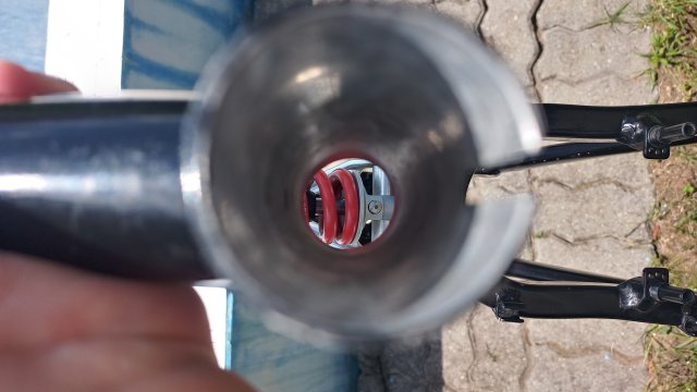 Mongoose Newman 8.3 '02 #117