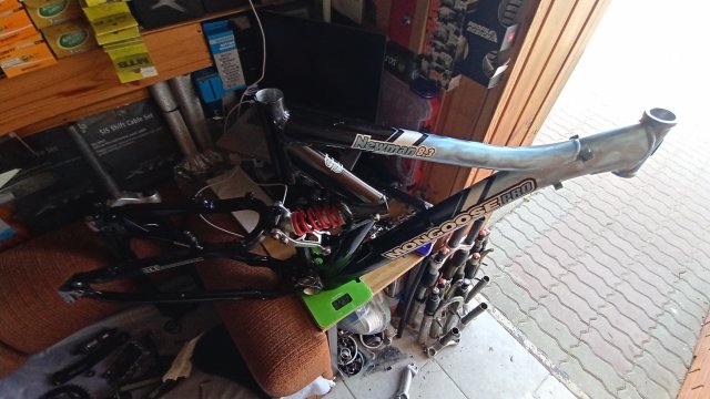 Mongoose Newman 8.3 '02 #123