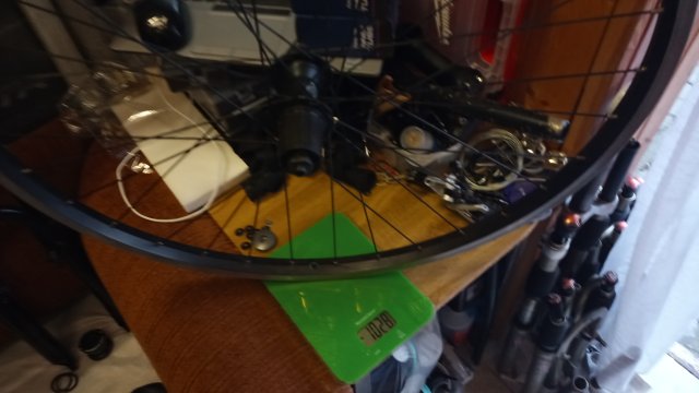 Mongoose Newman 8.3 '02 #64