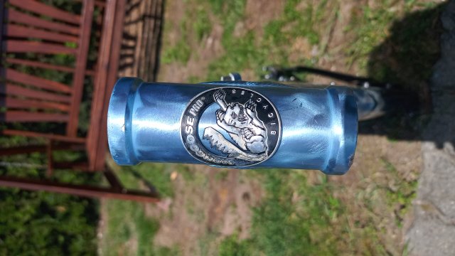 Mongoose Newman 8.3 '02 #82