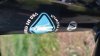 Mongoose Newman 8.3 '02 #93
