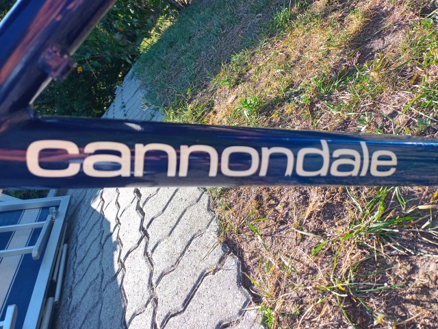 Cannondale Delta V 700 '93 #40