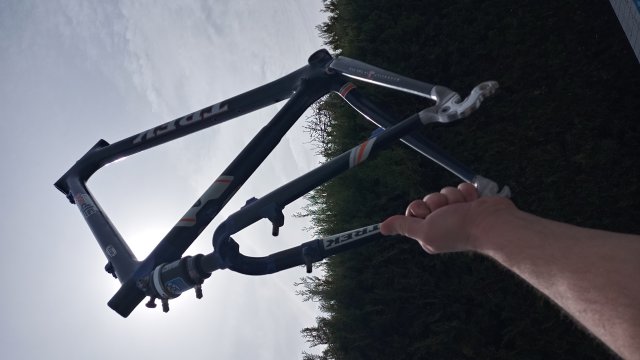 Trek STP 200 '00 #101