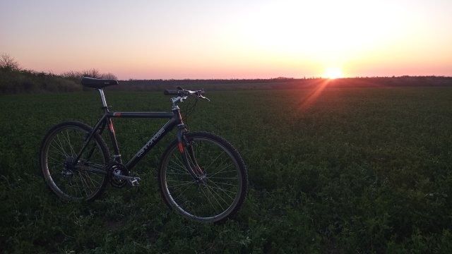 Cannondale M2000 '92 #169