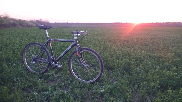 Cannondale M2000 '92 #170