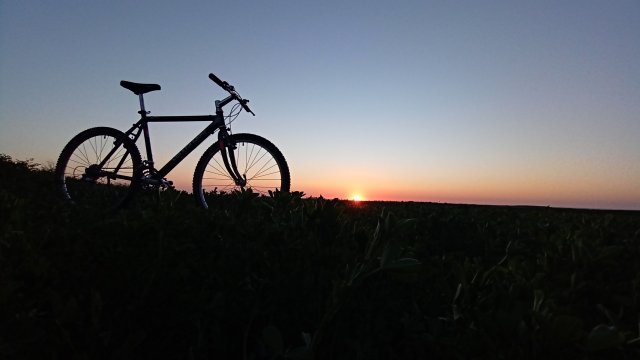 Cannondale M2000 '92 #173