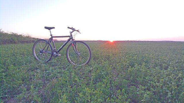 Cannondale M2000 '92 #174
