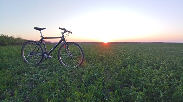 Cannondale M2000 '92 #175