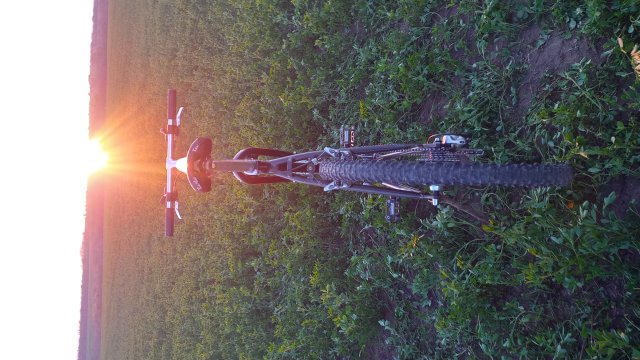 Cannondale M2000 '92 #219