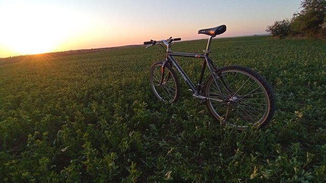 Cannondale M2000 '92 #237
