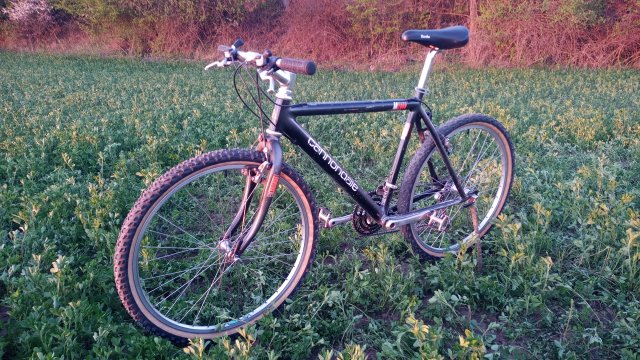 Cannondale M2000 '92 #238