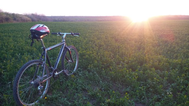 Cannondale M2000 '92 #250