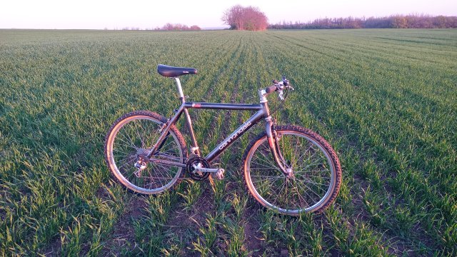 Cannondale M2000 '92 #259