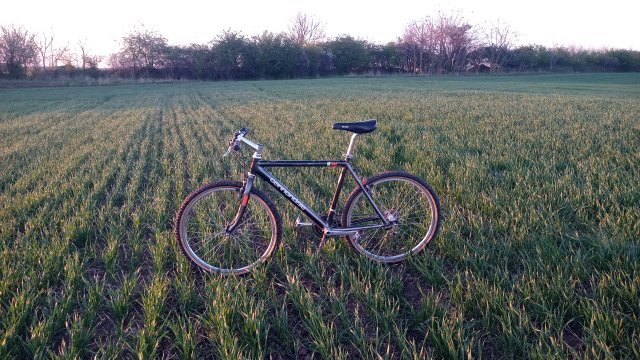 Cannondale M2000 '92 #261