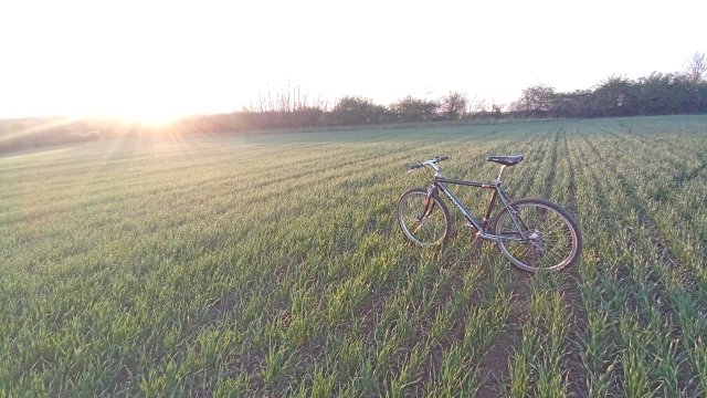 Cannondale M2000 '92 #262