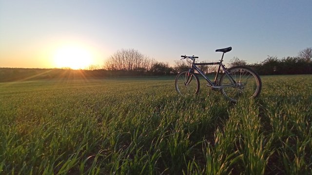 Cannondale M2000 '92 #264