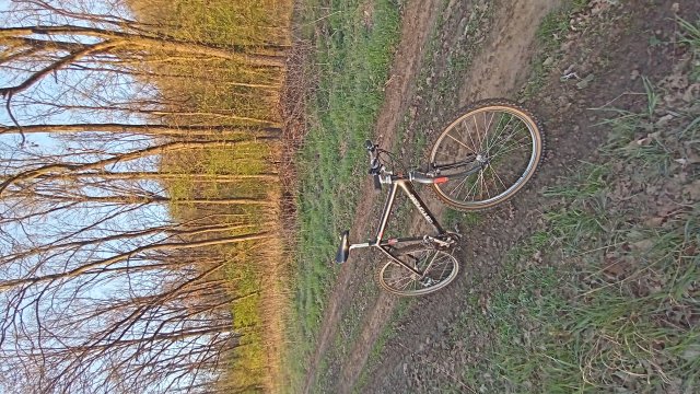 Cannondale M2000 '92 #273