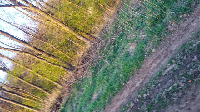 Cannondale M2000 '92 #275