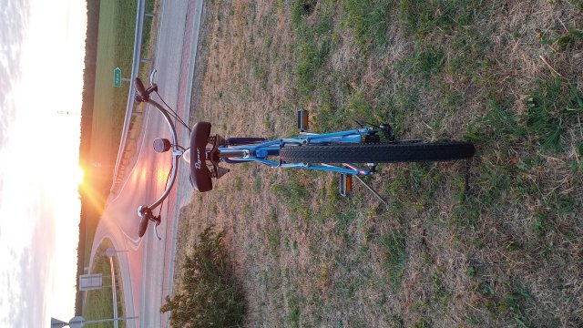 GT Dyno Dyna-Glide #175