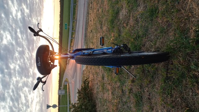 GT Dyno Dyna-Glide #176