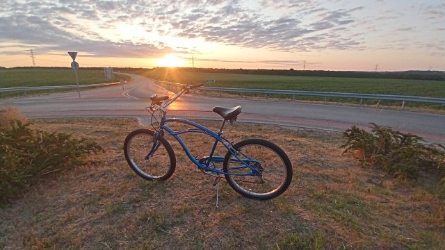 GT Dyno Dyna-Glide #205
