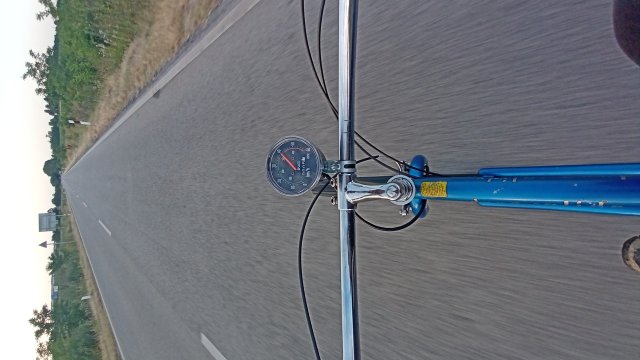 GT Dyno Dyna-Glide #220