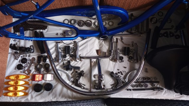 GT Dyno Dyna-Glide #29