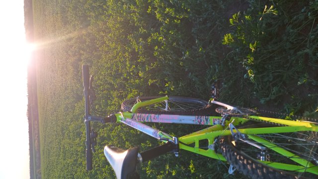 Alpinestars AL-Mega DX '90 #246